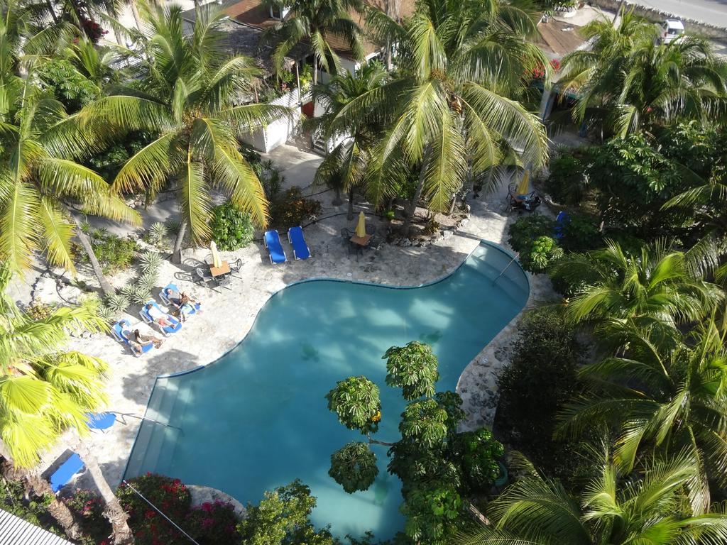 Turtle Cove Inn Providenciales Room photo