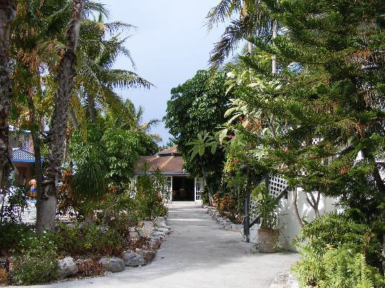 Turtle Cove Inn Providenciales Exterior photo